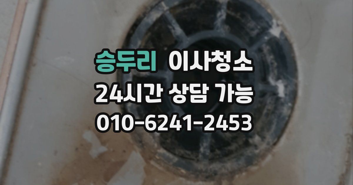 승두리 입주청소