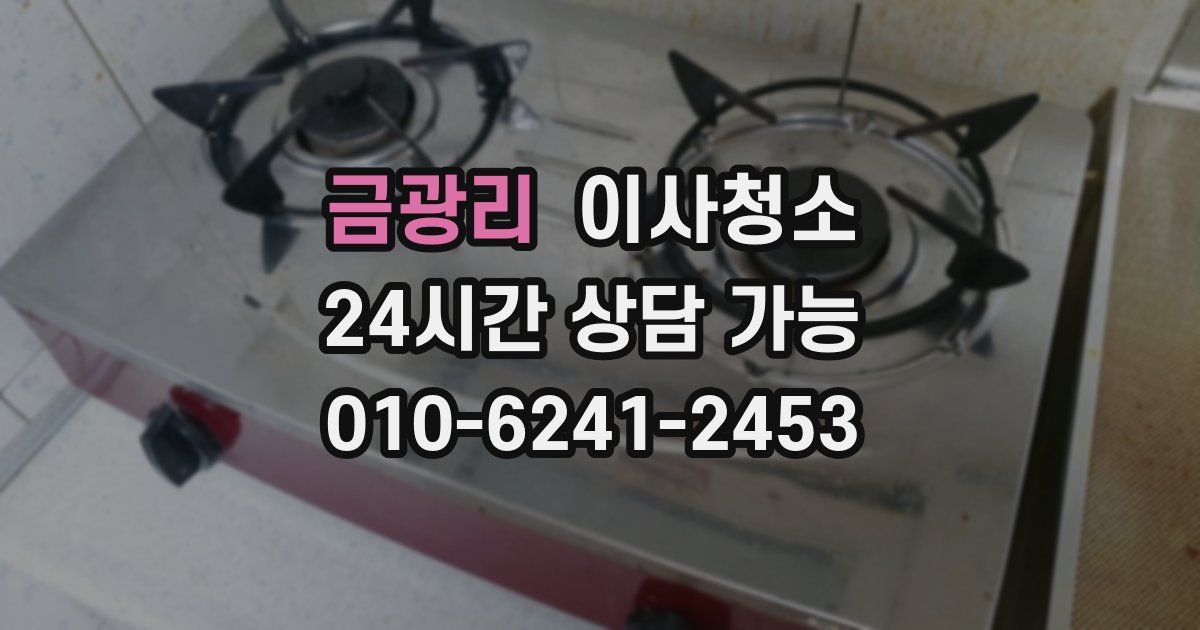 금광리 입주청소