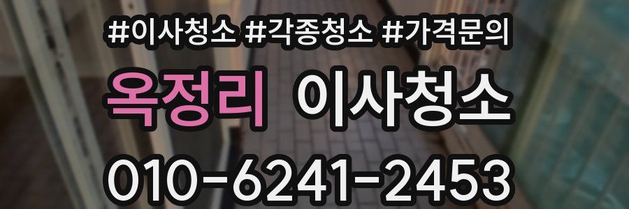 옥정리 이사청소