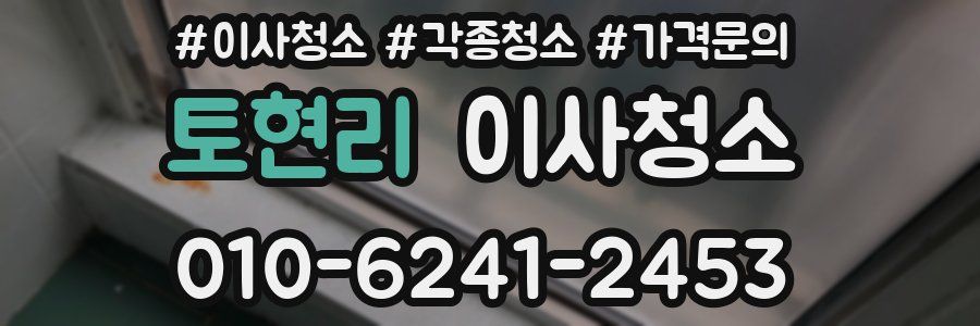 토현리 이사청소