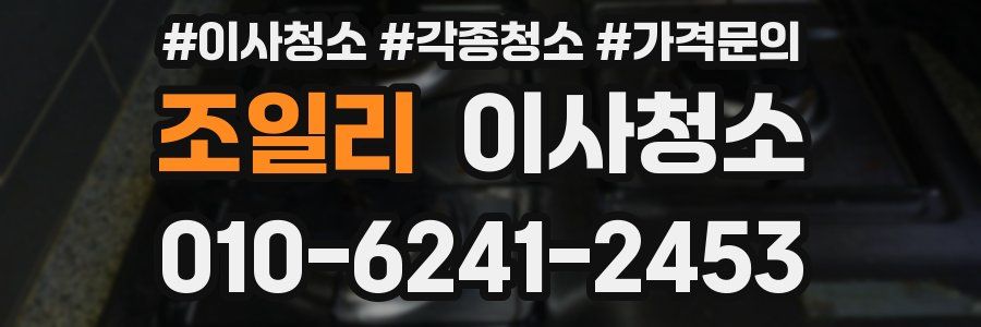 조일리 이사청소