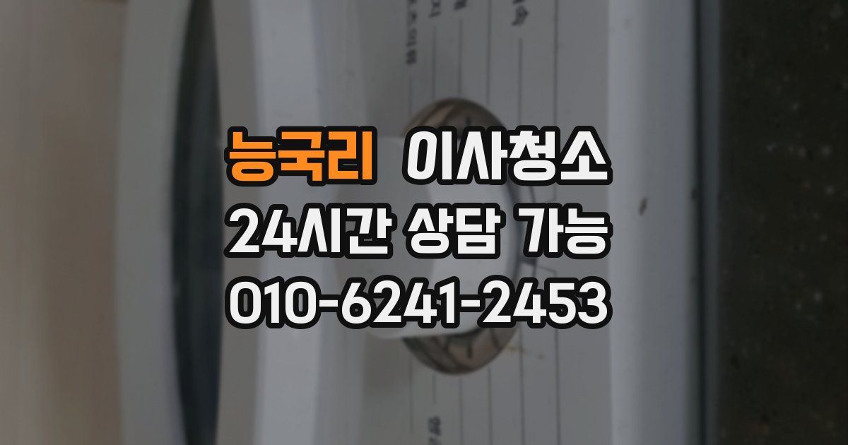 능국리 입주청소