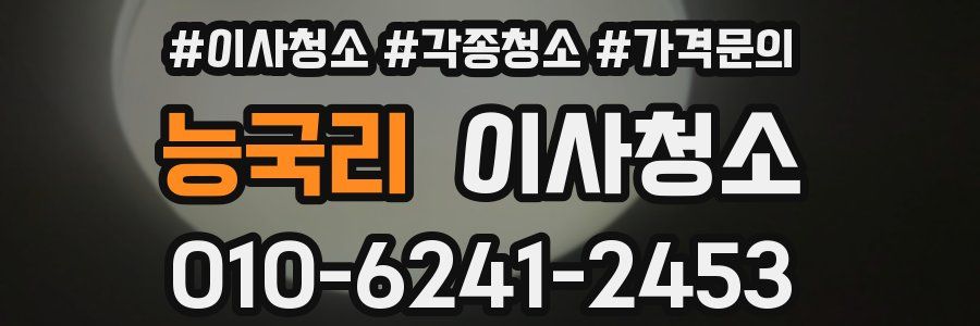 능국리 이사청소