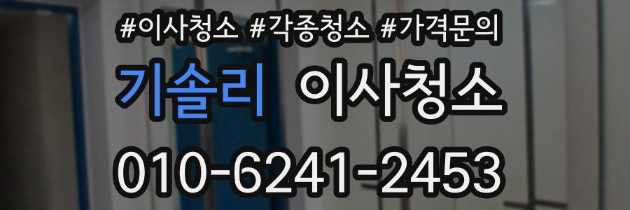 기솔리 이사청소