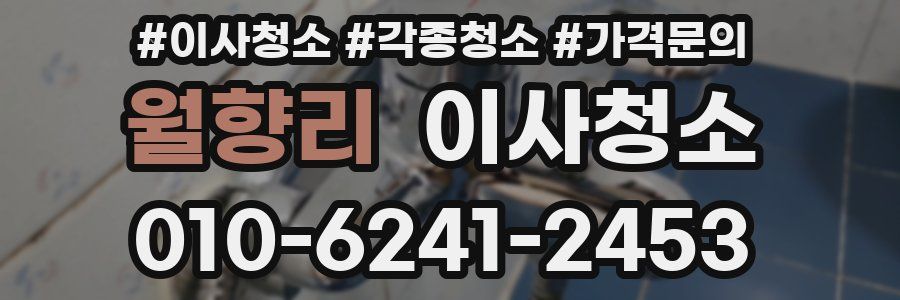 월향리 이사청소