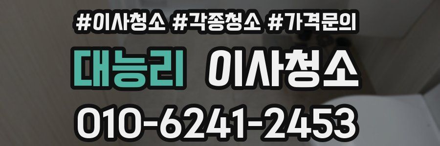 대능리 이사청소