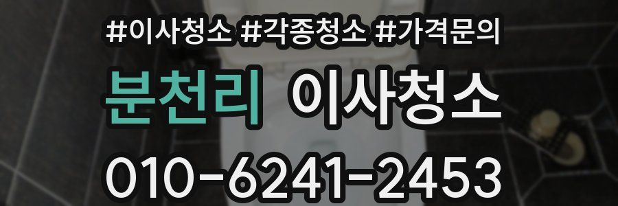 분천리 이사청소