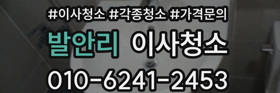 발안리 이사청소