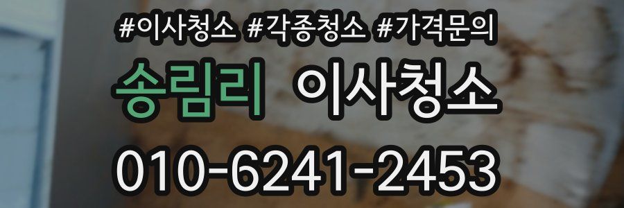 송림리 이사청소