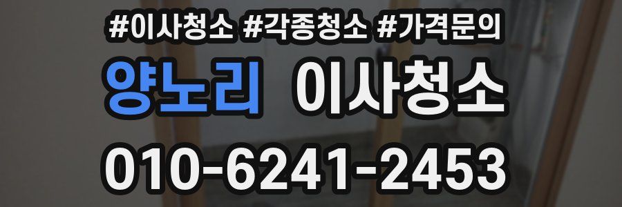 양노리 이사청소