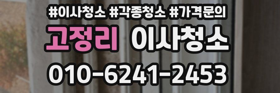 고정리 이사청소