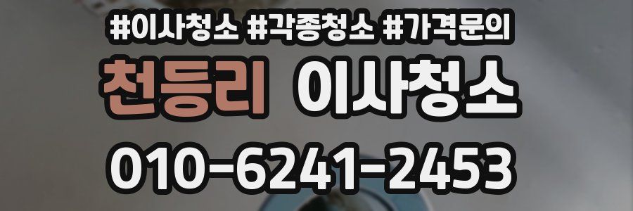 천등리 이사청소