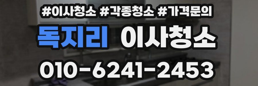 독지리 이사청소