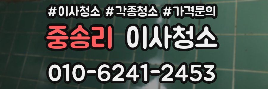 중송리 이사청소