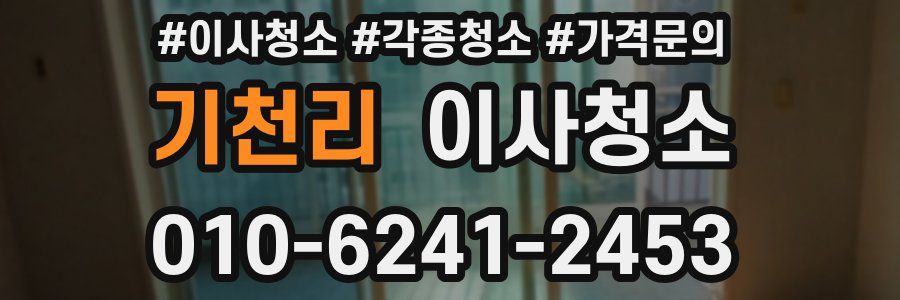 기천리 이사청소