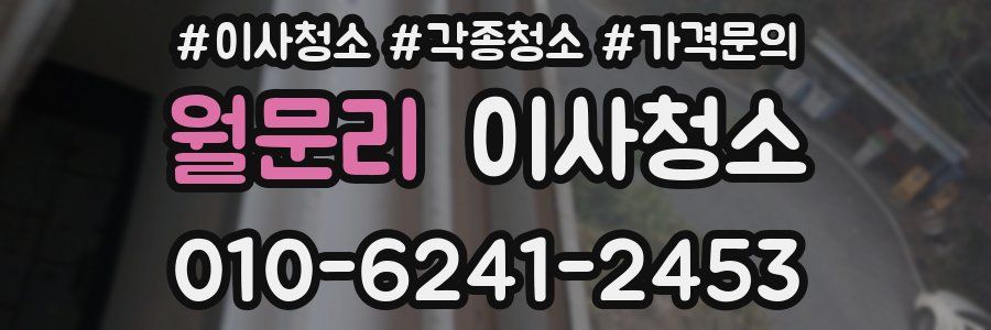 월문리 이사청소