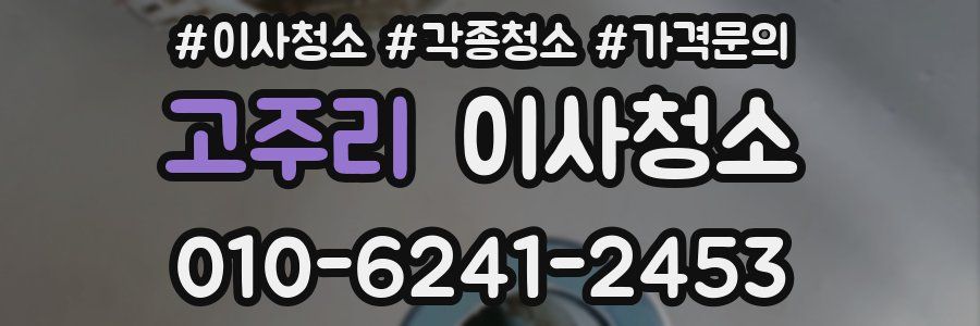 고주리 이사청소