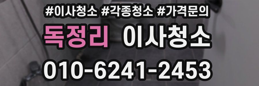 독정리 이사청소