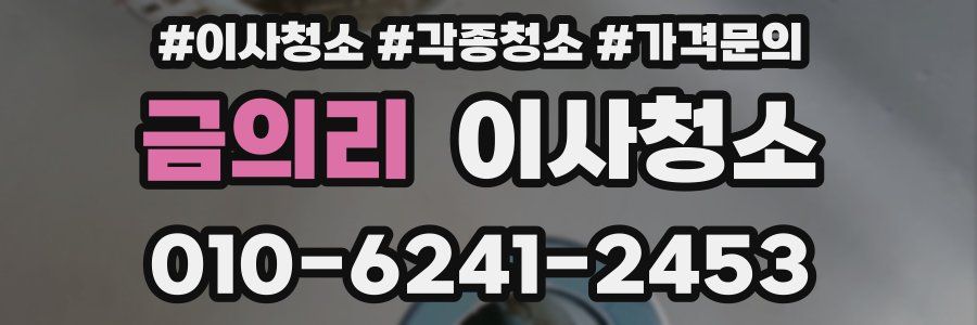 금의리 이사청소