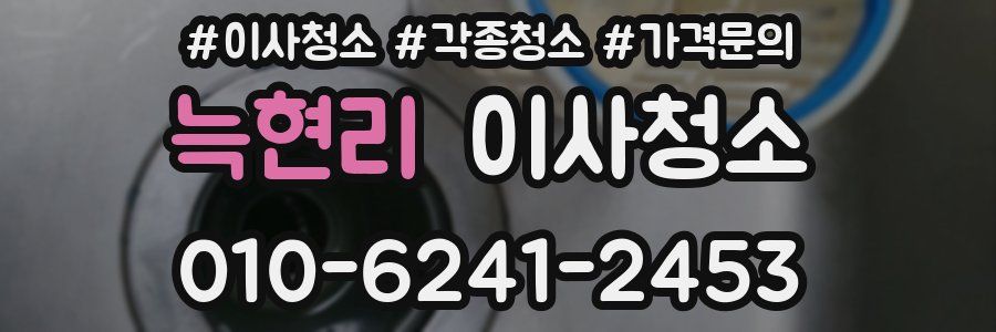 늑현리 이사청소