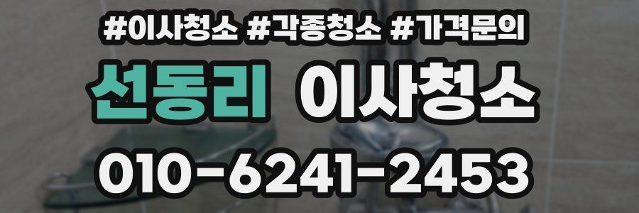 선동리 이사청소