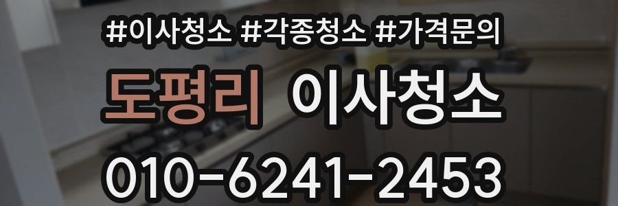 도평리 이사청소