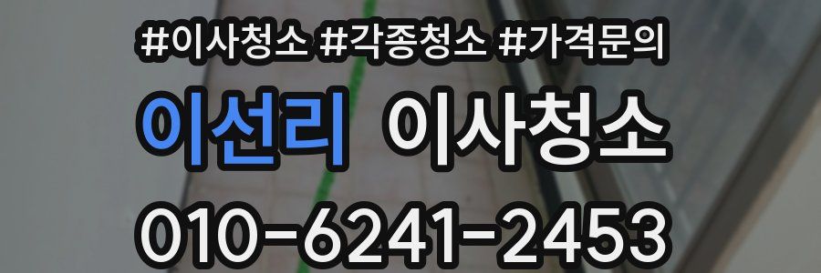 이선리 이사청소