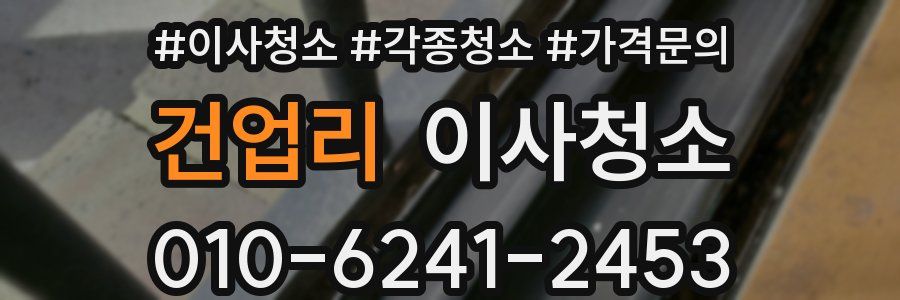 건업리 이사청소