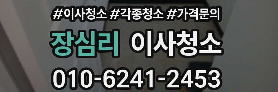 장심리 이사청소