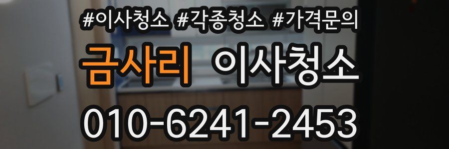 금사리 이사청소