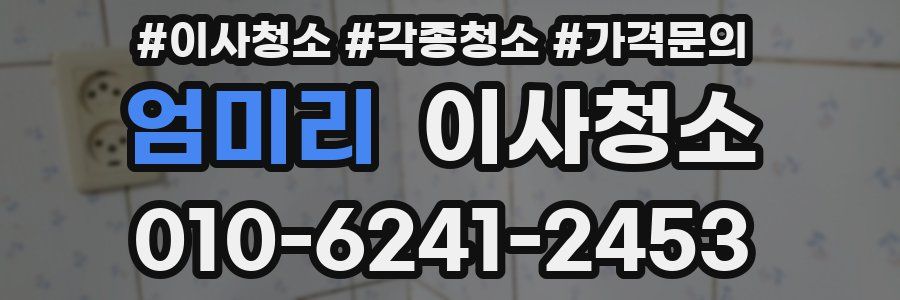 엄미리 이사청소