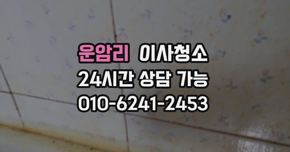 운암리 입주청소