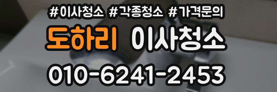 도하리 이사청소