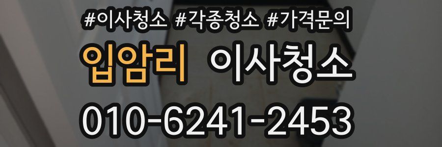 입암리 이사청소