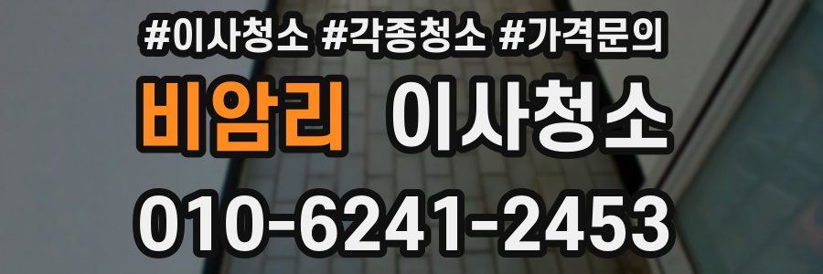 비암리 이사청소