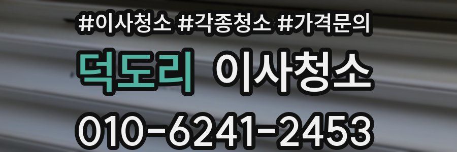 덕도리 이사청소