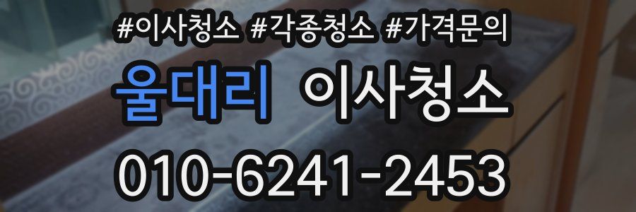 울대리 이사청소