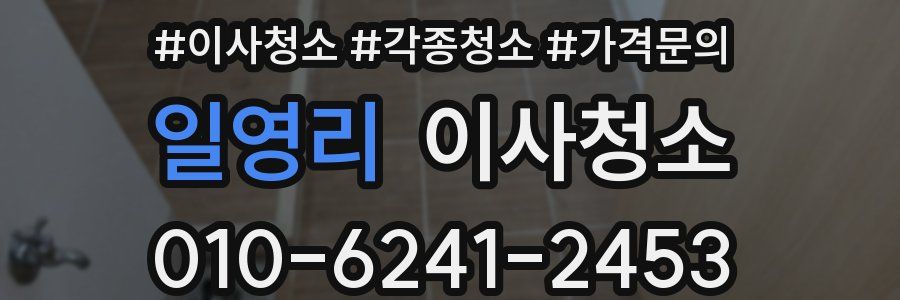 일영리 이사청소