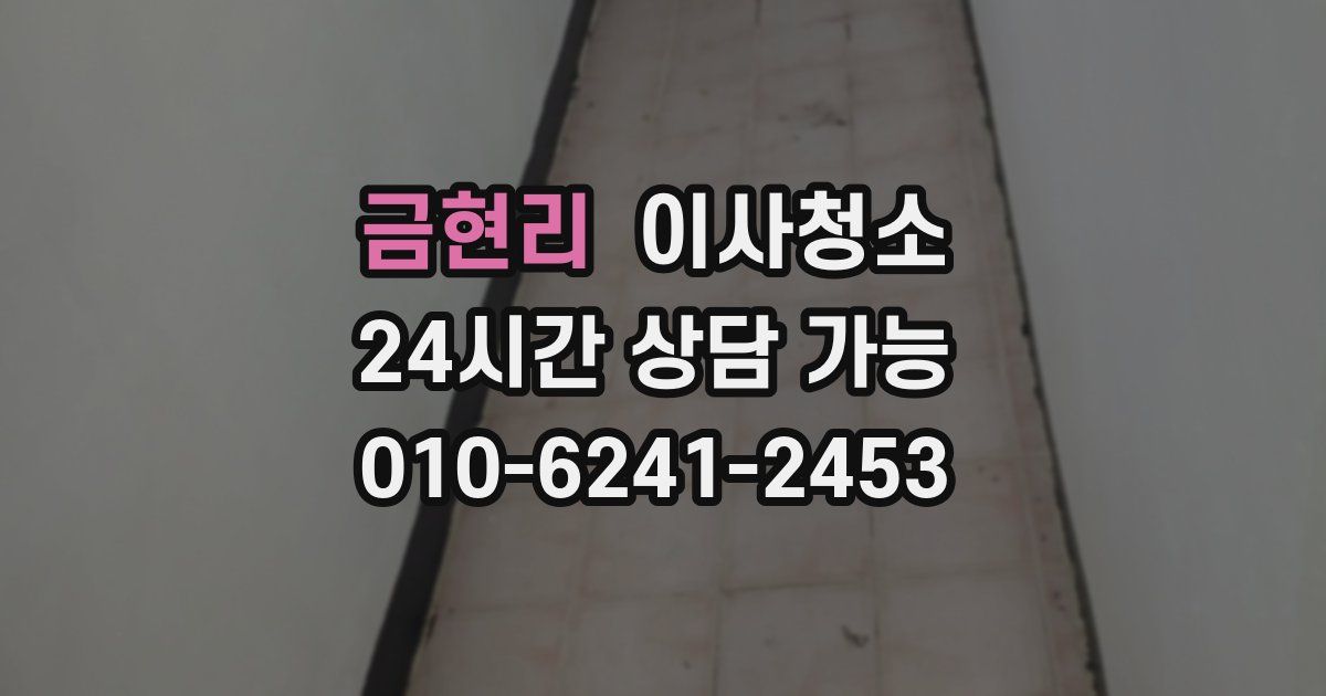 금현리 입주청소