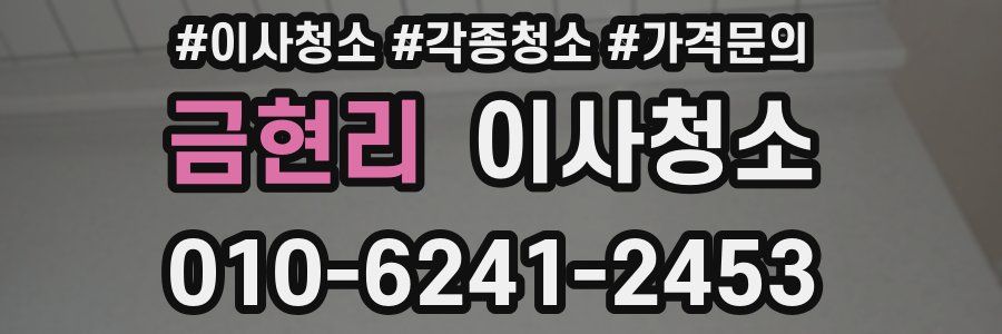 금현리 이사청소