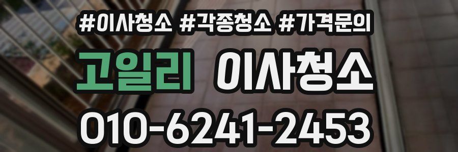 고일리 이사청소