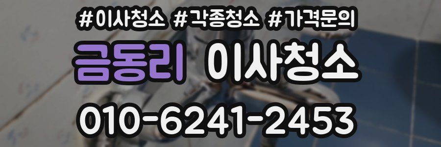 금동리 이사청소