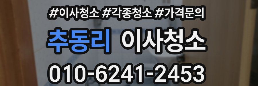 추동리 이사청소