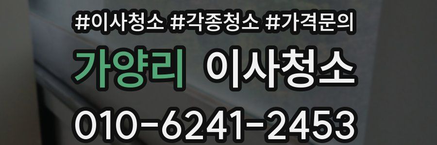 가양리 이사청소