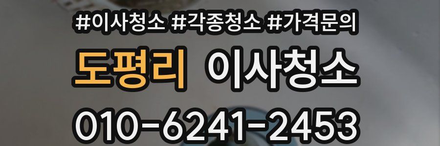 도평리 이사청소