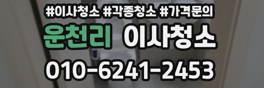 운천리 이사청소