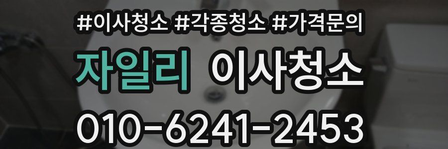 자일리 이사청소