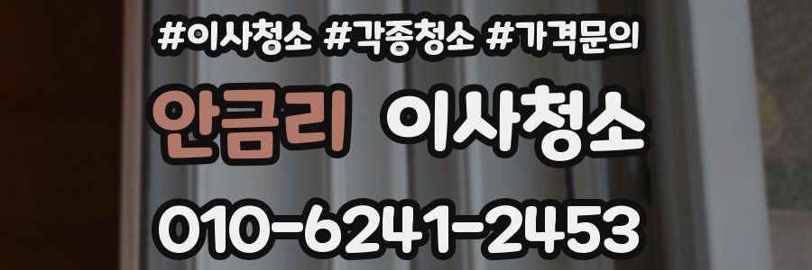 안금리 이사청소