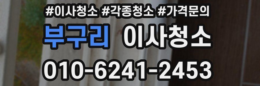 부구리 이사청소