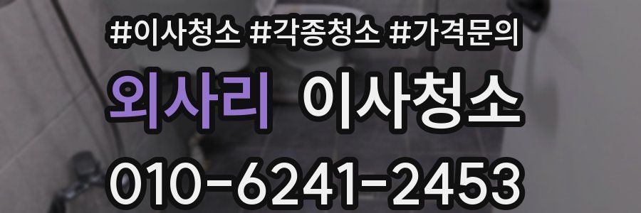 외사리 이사청소